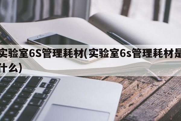 实验室6S管理耗材(实验室6s管理耗材是什么)